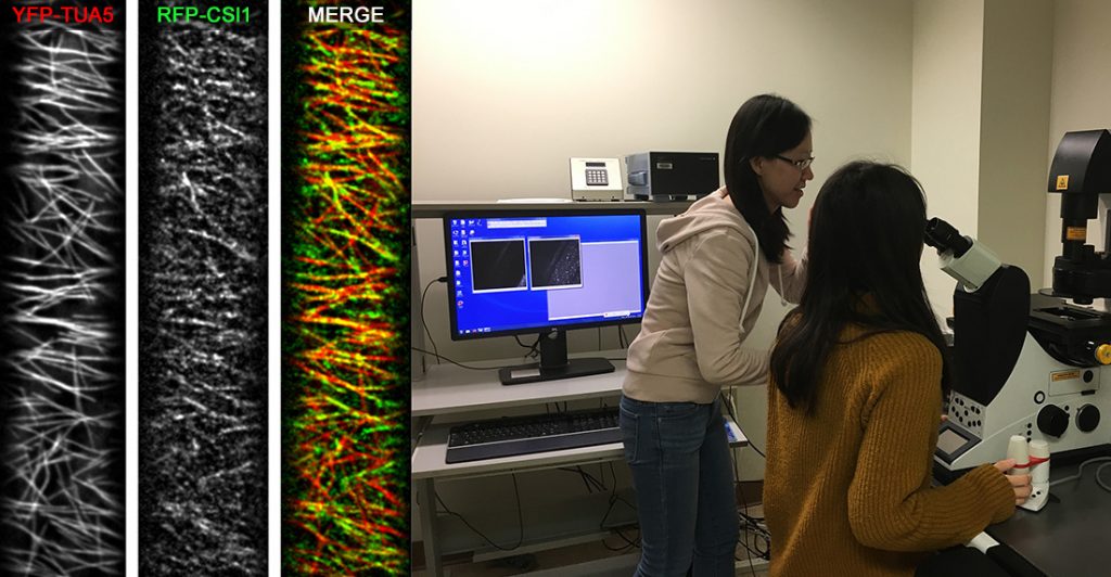 GU LAB